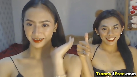 Shemale babe gets a cumshot as she fucks a sexy friend