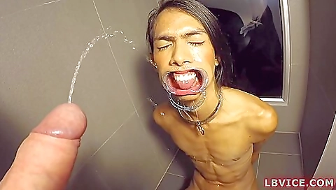 Buxom brunette ladyboy giving blowjob pissing on her